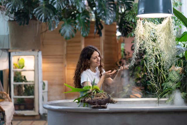 arredamento biofilico